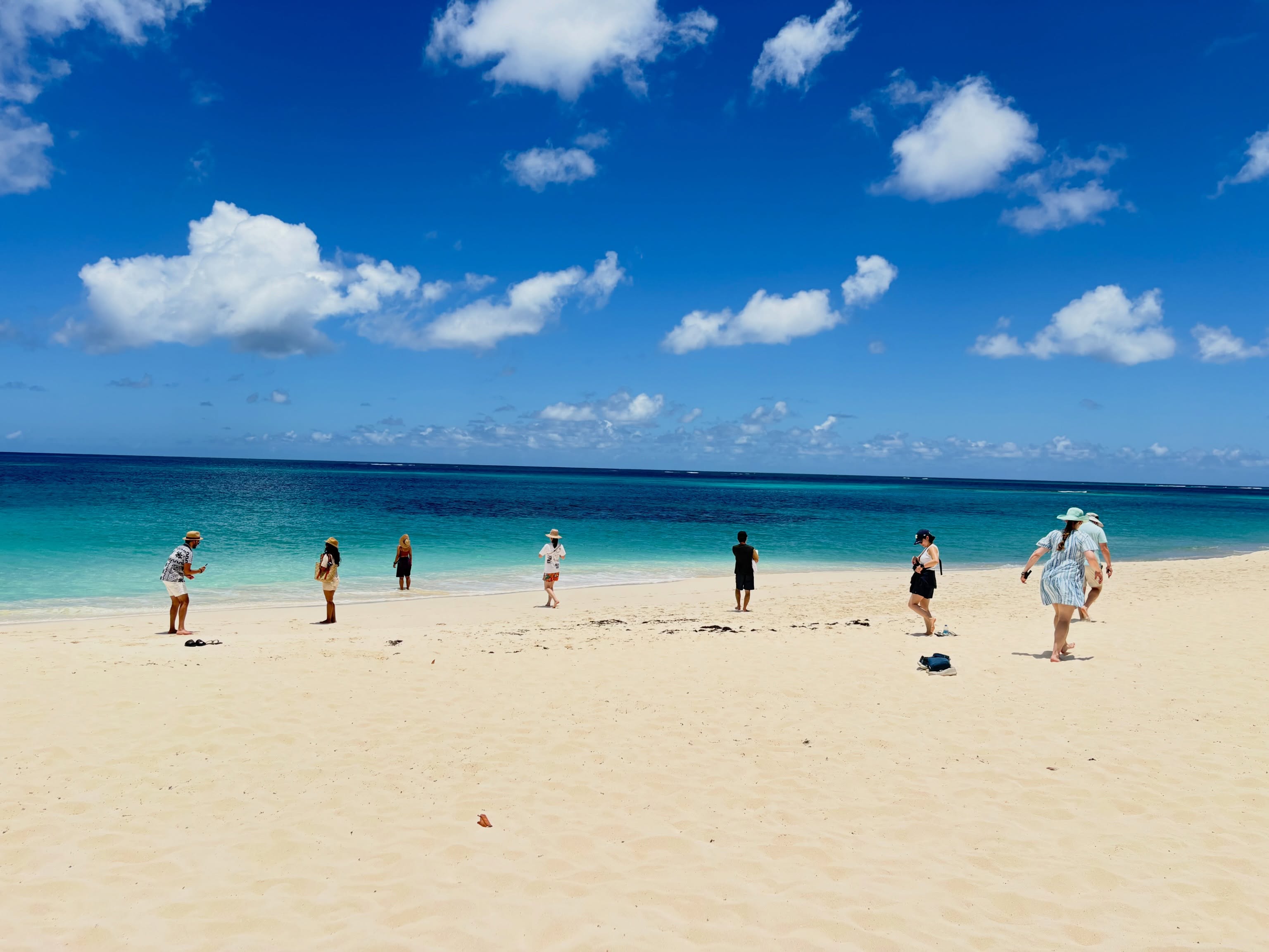 Beach tour group