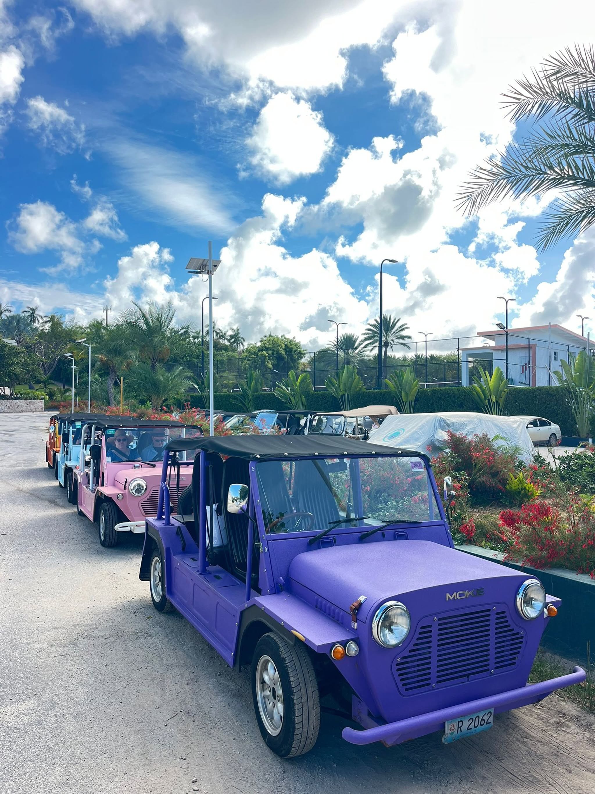 Colourful Mokes tours